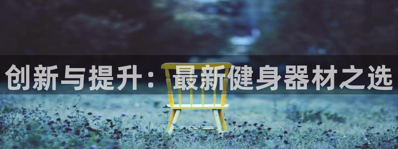 风速体育官方正版app集团简介:创新与提升:最新健身器材之选